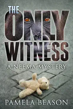 the only witness book cover image