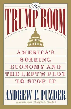the capitalist comeback book cover image