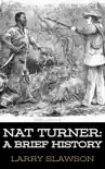 Nat Turner synopsis, comments