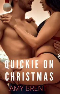 quickie on christmas book cover image