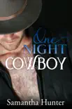 One Night Cowboy synopsis, comments