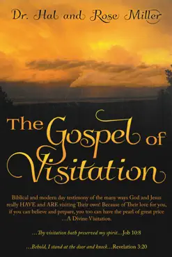 gospel of visitation book cover image
