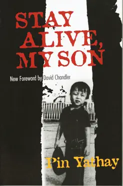 stay alive, my son book cover image
