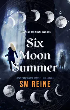 six moon summer book cover image