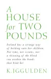 A House for Two Pounds sinopsis y comentarios
