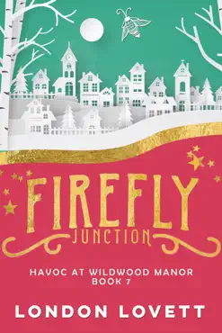 havoc at wildwood manor book cover image