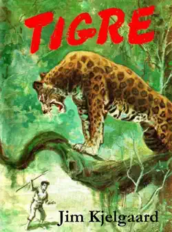 tigre book cover image