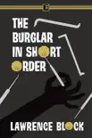 The Burglar in Short Order synopsis, comments