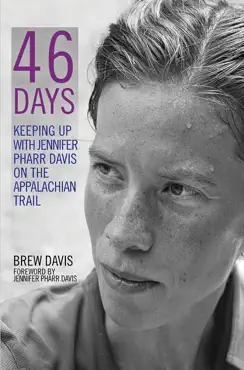 46 days book cover image