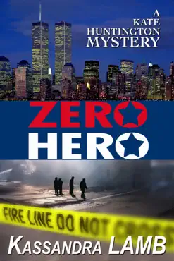 zero hero book cover image