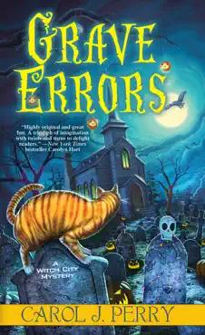 grave errors book cover image