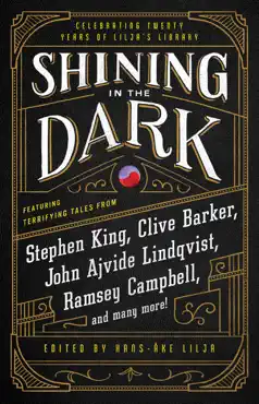 shining in the dark book cover image