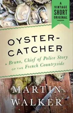 oystercatcher book cover image