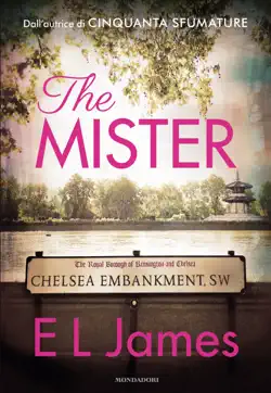 the mister book cover image