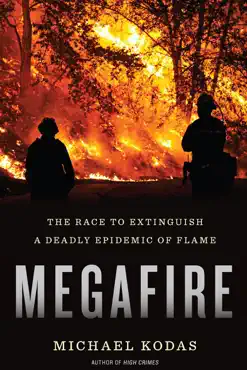 megafire book cover image