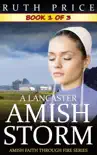 A Lancaster Amish Storm - Book 1 book summary, reviews and download