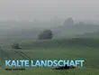 Kalte Landschaft synopsis, comments