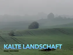 kalte landschaft book cover image