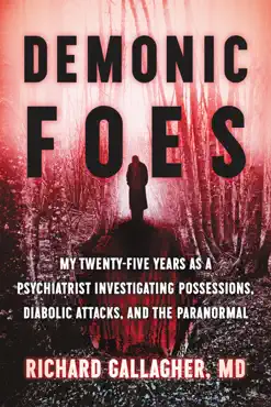 demonic foes book cover image