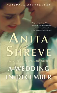 a wedding in december book cover image