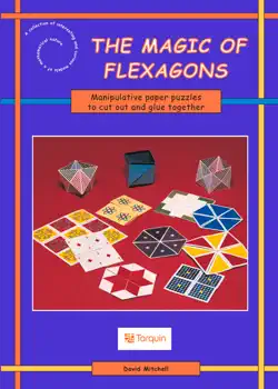 magic of flexagons book cover image