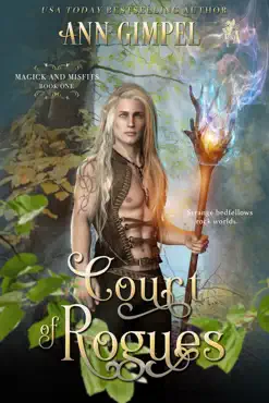 court of rogues book cover image