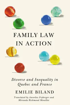 family law in action book cover image