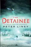 The Detainee synopsis, comments