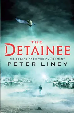 the detainee book cover image