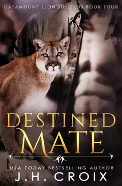 destined mate book cover image