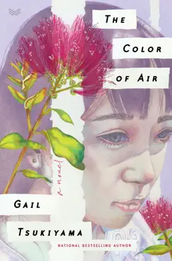 the color of air book cover image