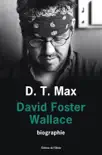 David Foster Wallace sinopsis y comentarios