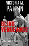 Blind Vengeance - Final Justice synopsis, comments