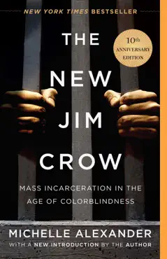 the new jim crow book cover image