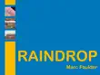 RAINDROP synopsis, comments