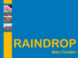 raindrop book cover image