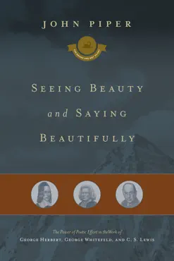 seeing beauty and saying beautifully book cover image