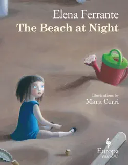 the beach at night book cover image