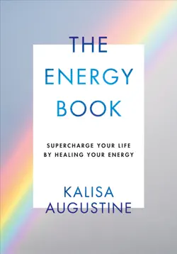 the energy book book cover image