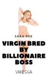 Virgin Bred By Billionaire Boss - Vanessa synopsis, comments