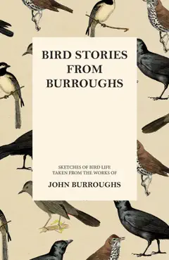 bird stories from burroughs - sketches of bird life taken from the works of john burroughs book cover image