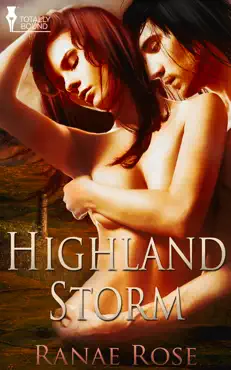 highland storm book cover image