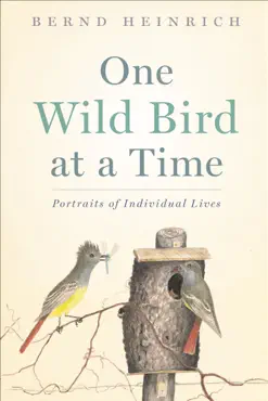 one wild bird at a time book cover image