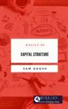 Basics of Capital Structure sinopsis y comentarios