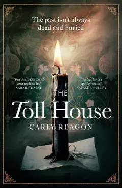 the toll house book cover image