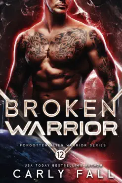 broken warrior book cover image