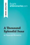 A Thousand Splendid Suns by Khaled Hosseini (Book Analysis) sinopsis y comentarios