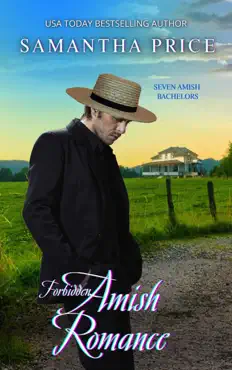 forbidden amish romance book cover image