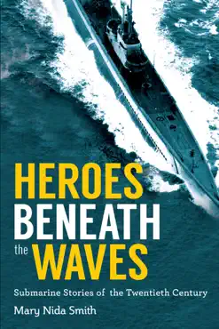 heroes beneath the waves book cover image