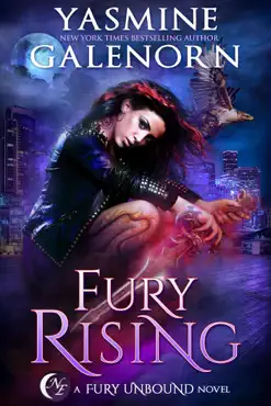fury rising book cover image